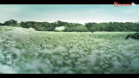 express s02e03 360p|[NodrakorId]D.P.S02E03.WEB.